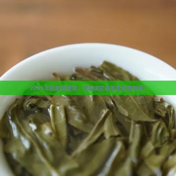 勐海博友普洱茶2005