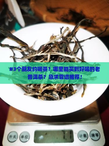 普洱茶老茶哪里买好喝点