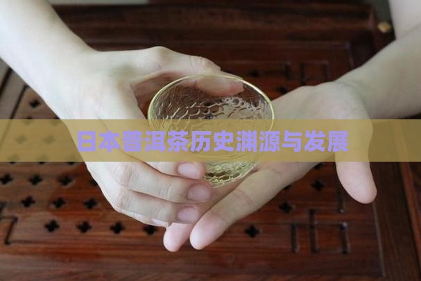 日本普洱茶历史