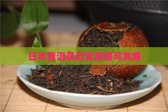 日本普洱茶历史
