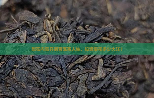 内蒙古加盟普洱茶要多少钱