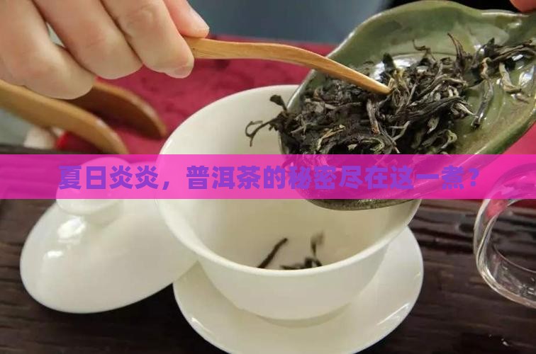 夏日煮普洱茶才有它的