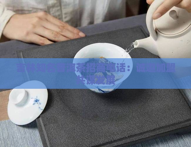 吉林知名普洱茶招商电话