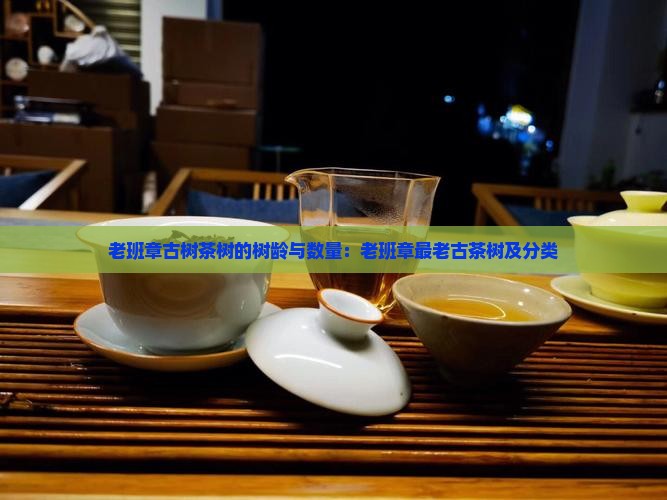 老班章古树茶树的树龄