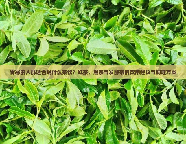 胃寒的人适合喝什么茶