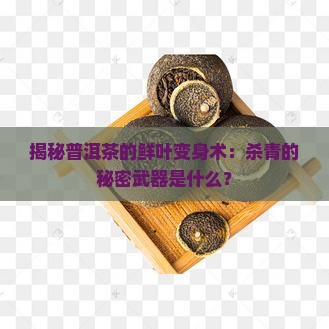 普洱茶加工鲜叶杀青