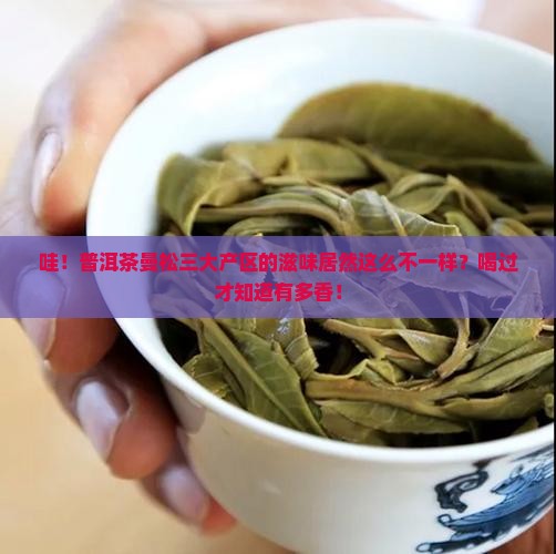 普洱茶曼松三大产区滋味