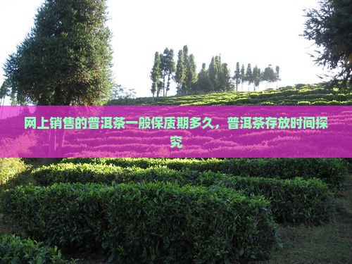 网上卖的普洱茶能放多久