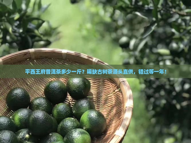 平西王府普洱茶多少一斤