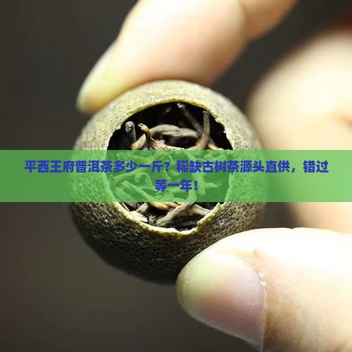 平西王府普洱茶多少一斤