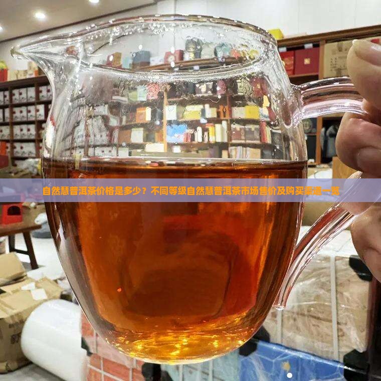 自然慧普洱茶多少钱