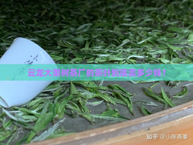 云龙县大栗树茶厂价格 云龙县大栗树茶厂价格