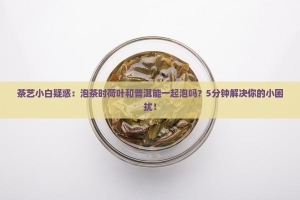 荷叶喝普洱茶可以一起泡么