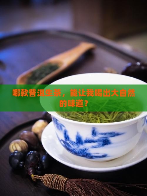 普洱生茶买什么牌子好一点