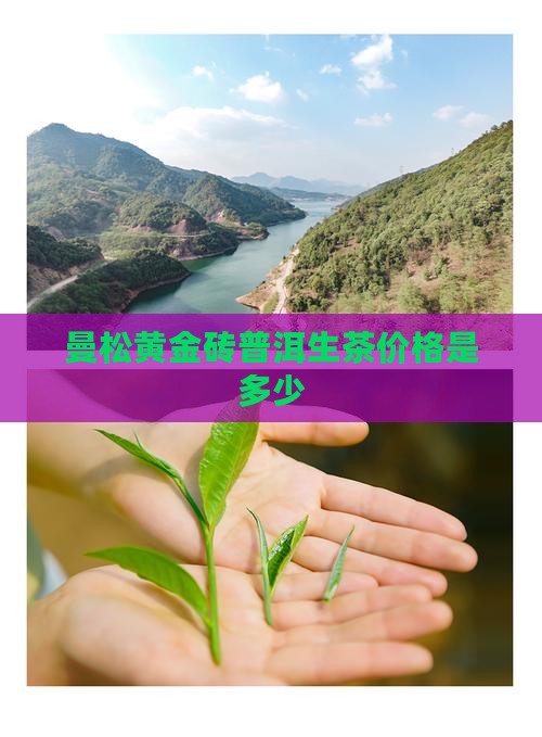 曼松黄金砖普洱生茶