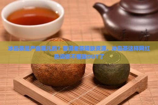 冰岛茶是产自哪儿的