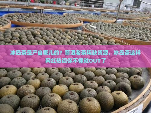 冰岛茶是产自哪儿的