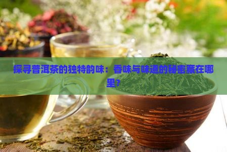 怎么品鉴普洱茶的香味和味道