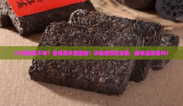 普洱茶乡露营基地