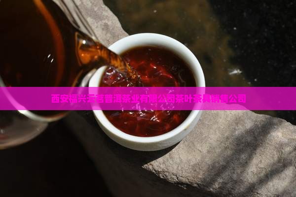 西安云茗普洱茶