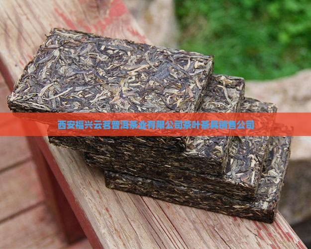 西安云茗普洱茶