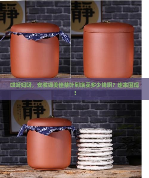 安徽绿美佳茶叶多少钱