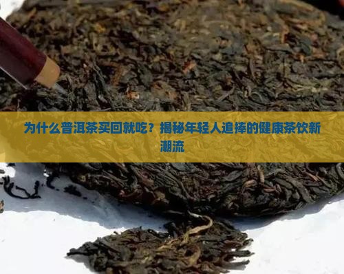 普洱茶买回就吃