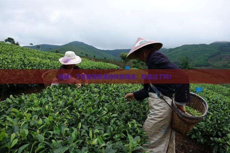 下关辉煌普洱茶
