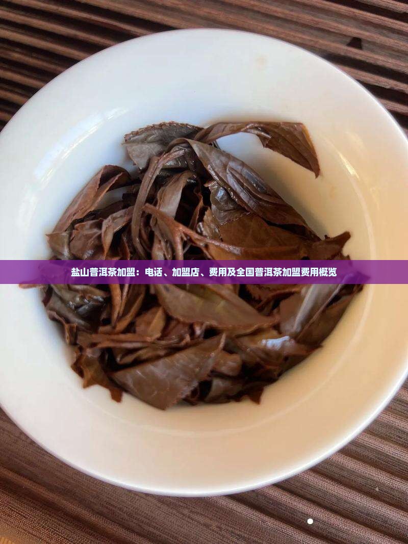 盐山普洱茶加盟