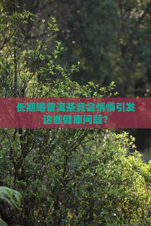 长期喝普洱茶引发多种疾病