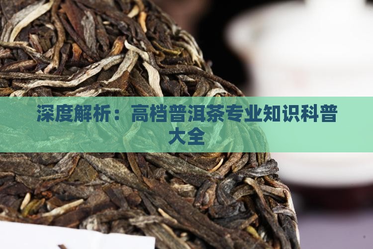 高档普洱茶知识科普