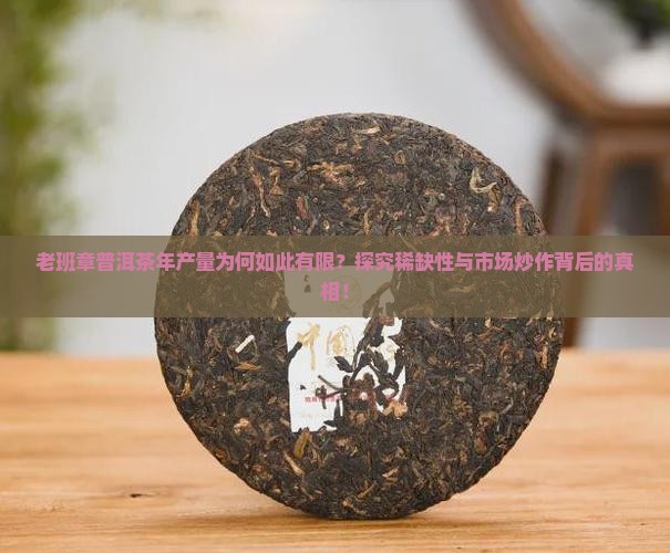 老班章普洱茶产量有多少