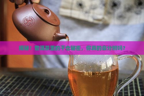 普洱茶干仓茶怎么区分