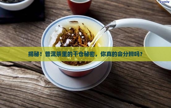 普洱茶干仓茶怎么区分