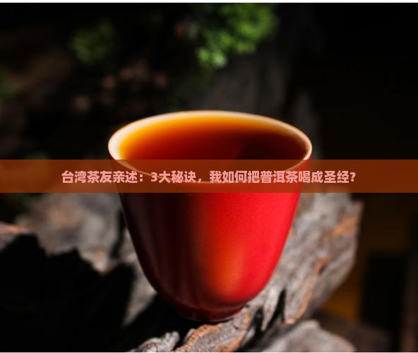 普洱茶的圣经台湾人