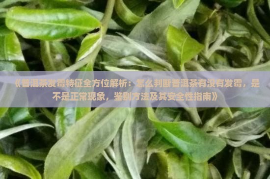 普洱茶发霉的特点