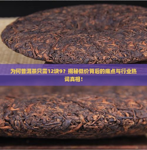 普洱茶12块9