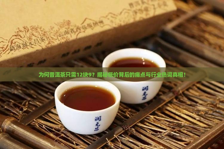 普洱茶12块9