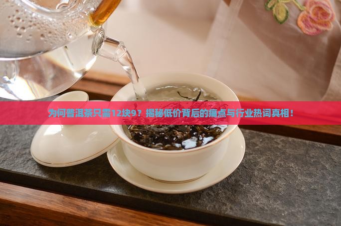 普洱茶12块9
