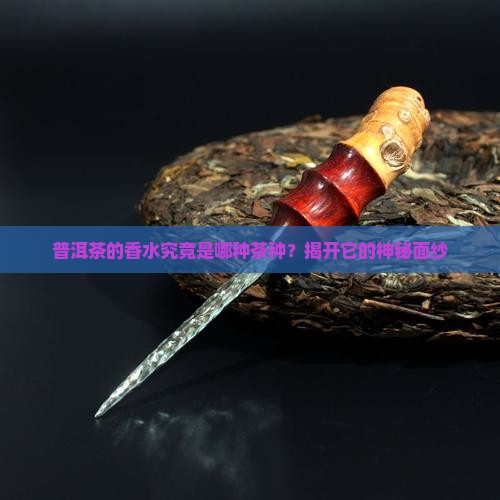 普洱茶的香水是什么茶种