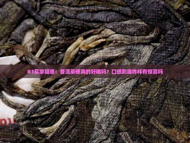 普洱茶梗好喝吗