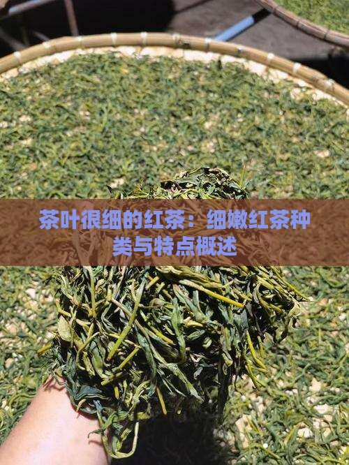 茶叶很细的红茶