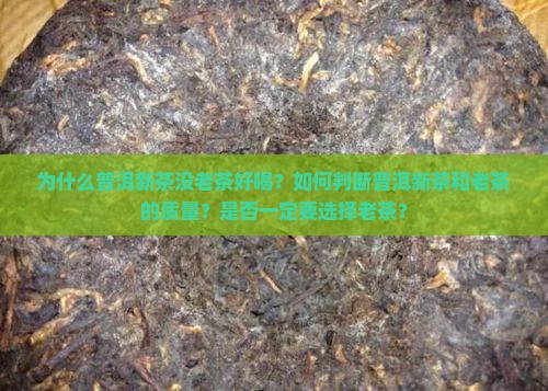 普洱茶新茶没老茶好喝怎么办