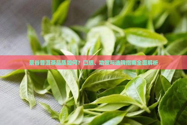 景谷普洱茶好不好