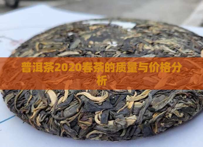 普洱茶2020春茶的质量 普洱茶2020春茶的质量