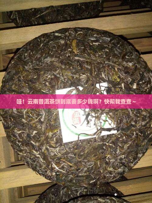 云南普洱茶饼多少钱查询 云南普洱茶饼多少钱查询