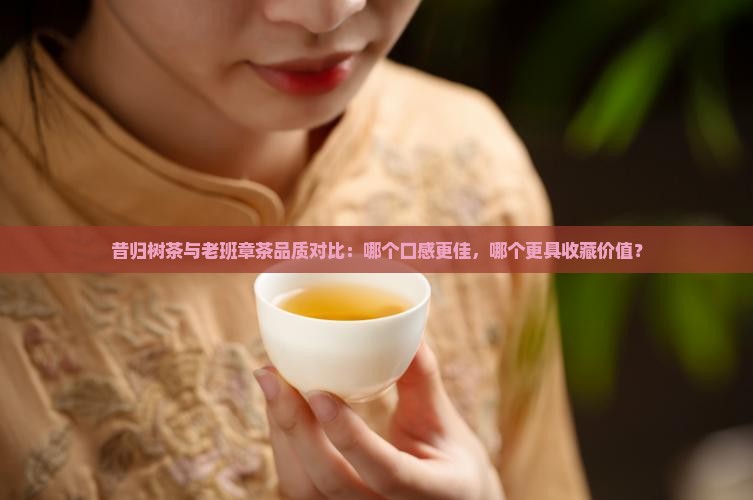 昔归树茶和老班章哪个好