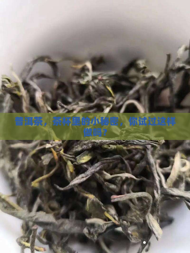 普洱茶怎么用在茶杯