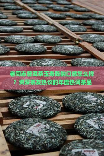 老同志普洱茶玉寿陈韵怎样