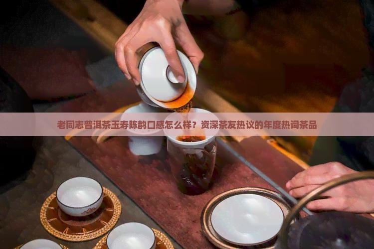 老同志普洱茶玉寿陈韵怎样